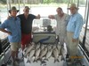 (06/04/2014) - Nice Striped Bass